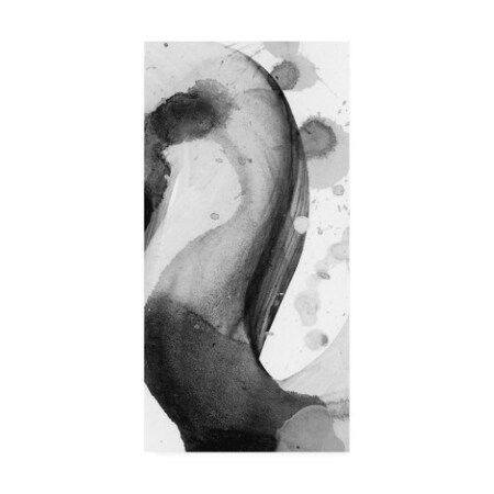 Trademark Fine Art Sharon Chandler 'Entranced II' Canvas Art, 24x47 WAG14502-C2447GG